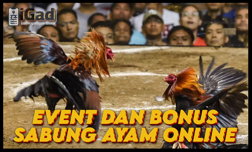 Event Sabung Ayam Online dan Bonus Besar Menanti!