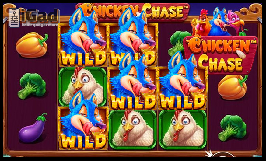 Chicken Chase