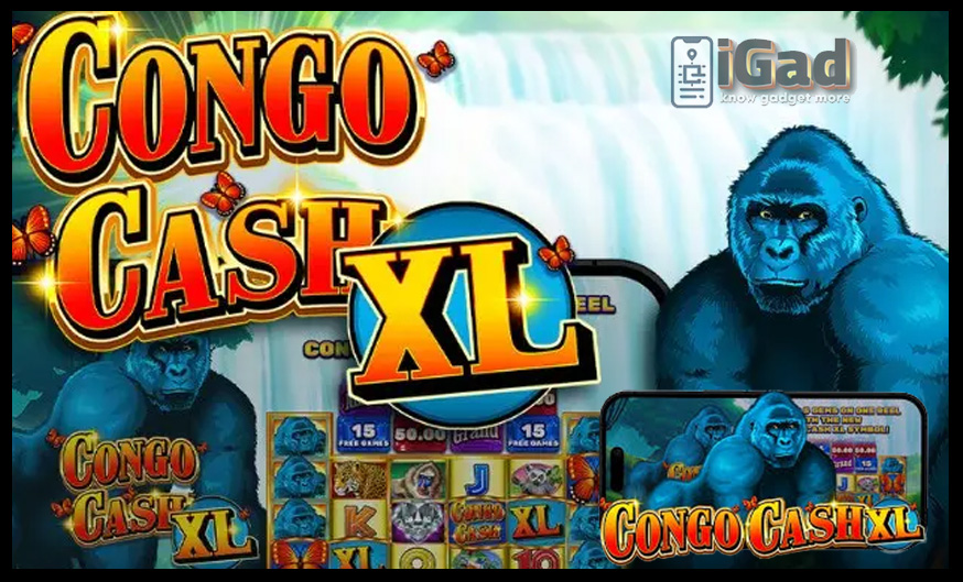 congo cash xl