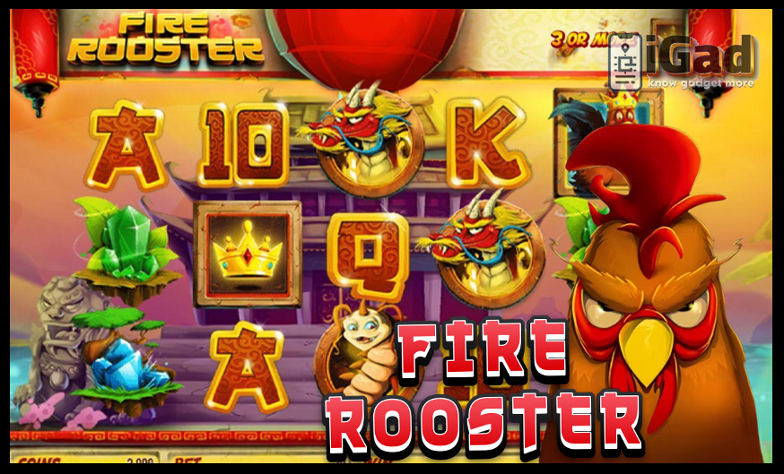 Fire Rooster RTP8000