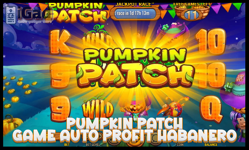 game pumpkin patch dari Habanero