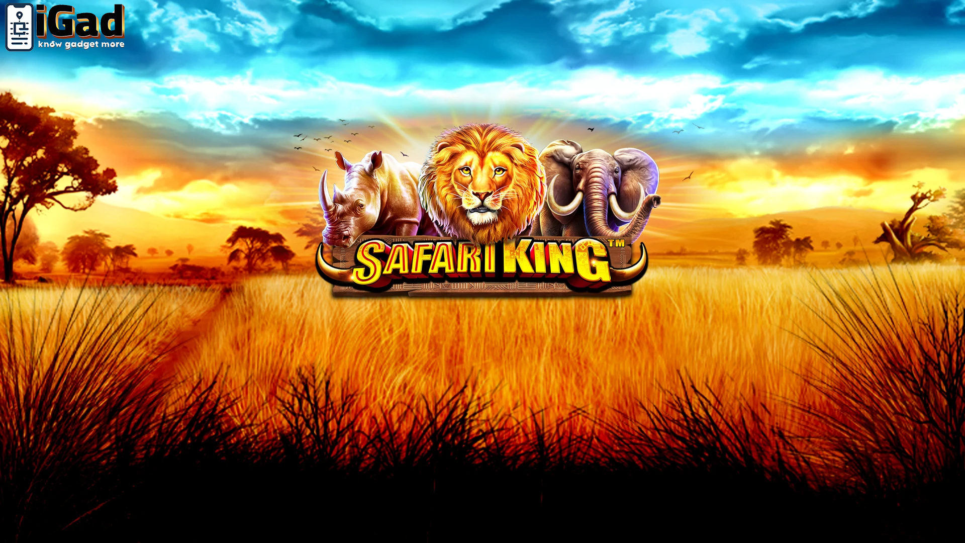 Slot Safari King: Taklukkan Hutan dan Raih Kemenangan Maksimal